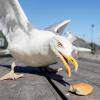 The Good, The Bad, & Th... - last post by Parking Lot Seagull